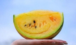 红料吃瓜网,揭秘娱乐圈幕后故事，带你领略明星真实生活