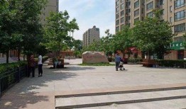 绿锦国际小区最新爆料,揭秘神秘事件背后的真相